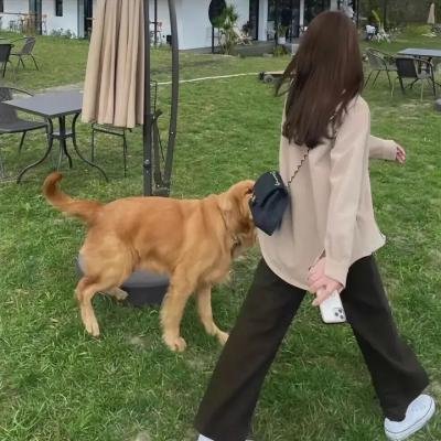 林场追杀